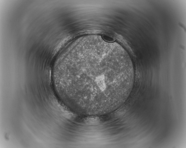 X0000101150110200807251057