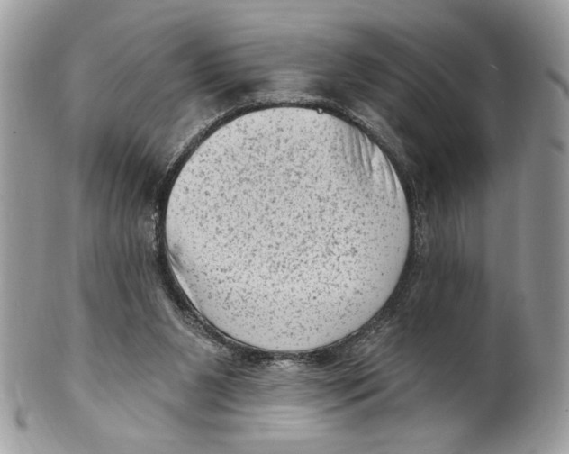 X0000101150111200807251057