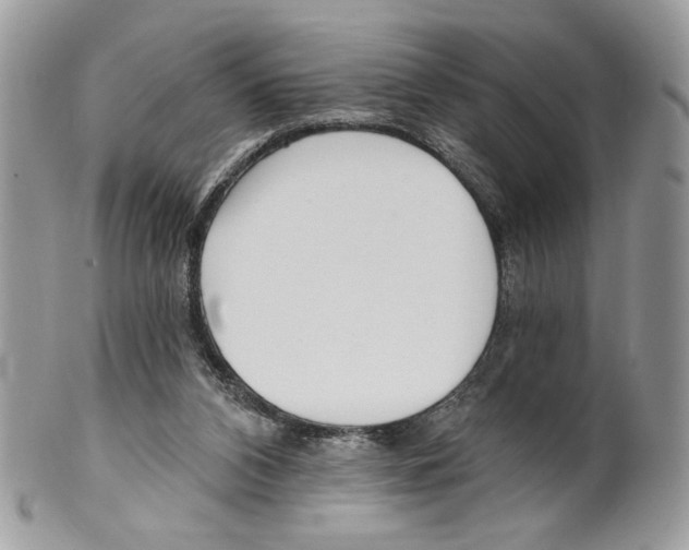 X0000101150112200807251057