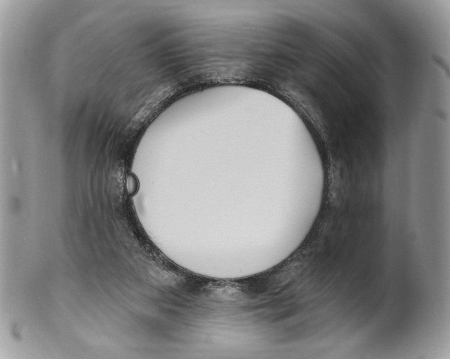 X0000101150113200807251057