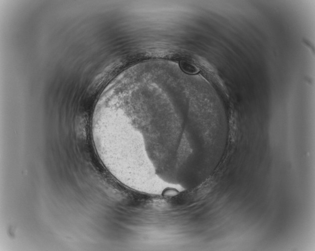 X0000101150114200807251057