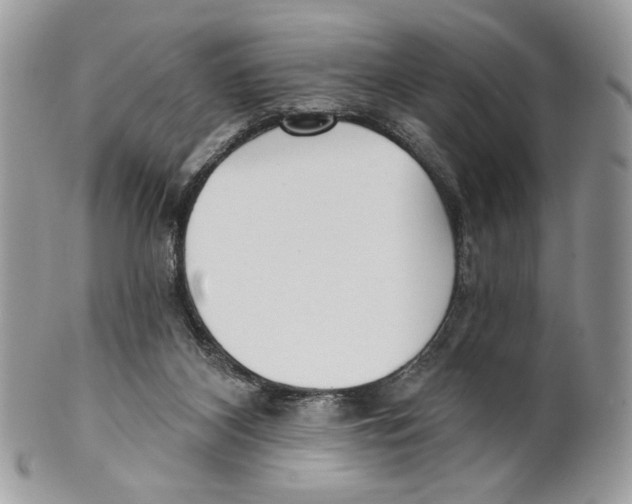 X0000101150116200807251057
