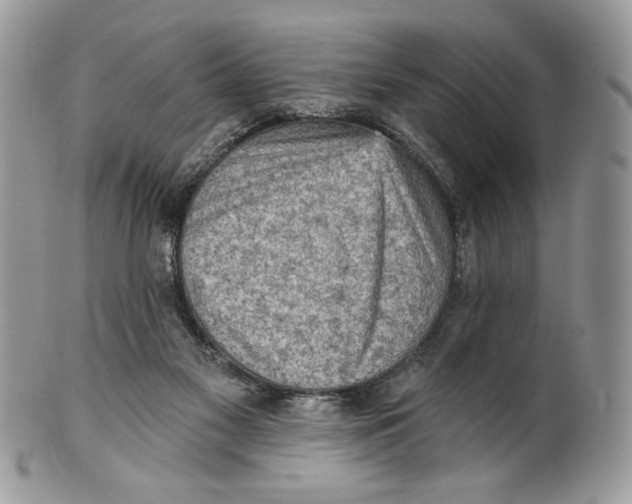 X0000101150117200807251057