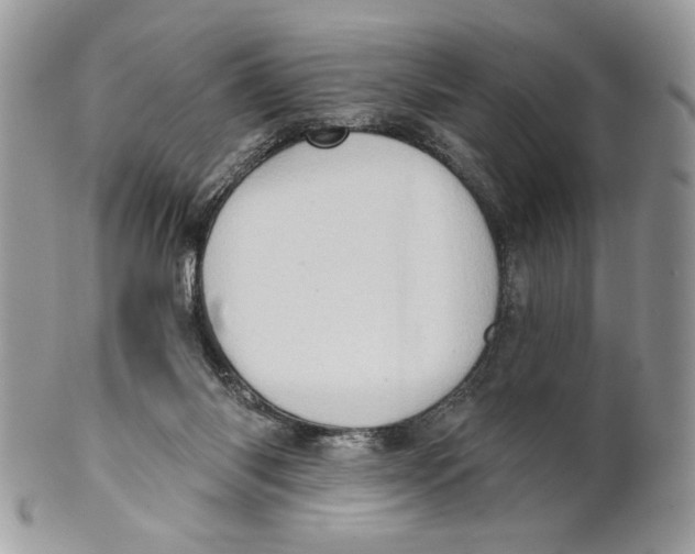 X0000101150118200807251057