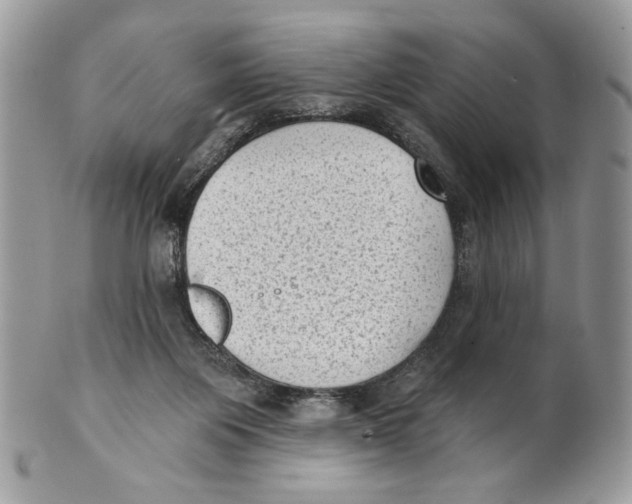 X0000101150119200807251057
