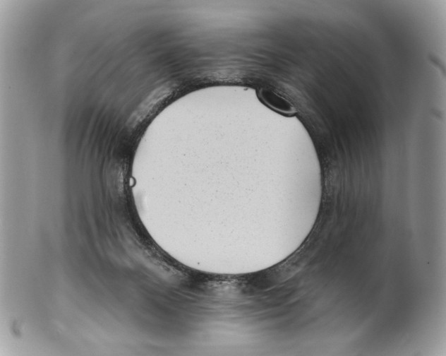X0000101150120200807251056