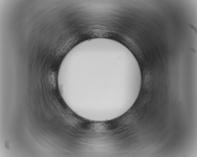 X0000101150121200807251056