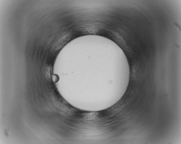 X0000101150122200807251056