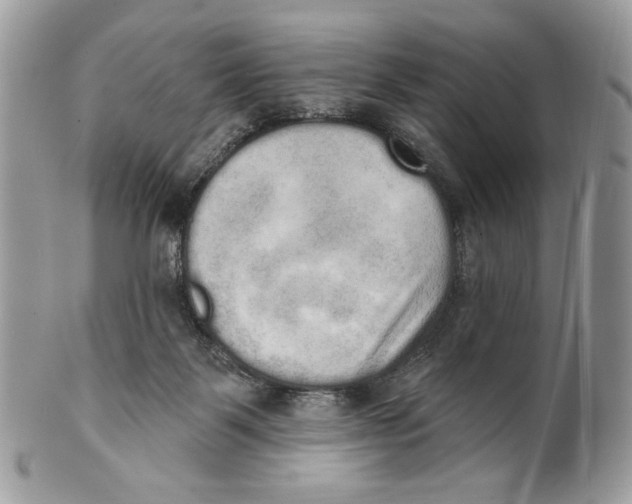 X0000101150123200807251056
