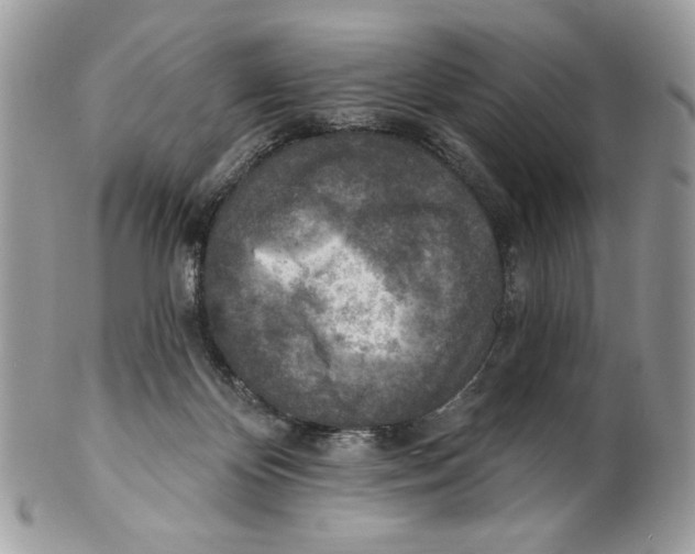 X0000101150124200807251056