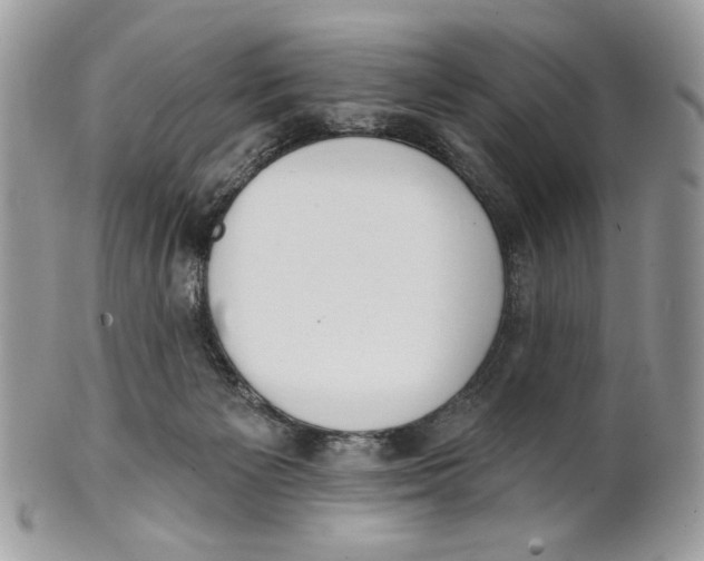 X0000101150125200807251056