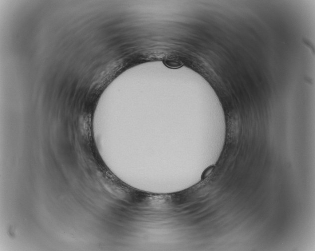 X0000101150126200807251056