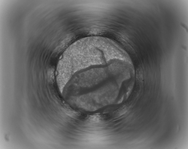 X0000101150127200807251056