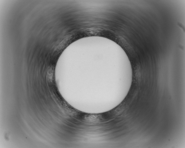 X0000101150129200807251056