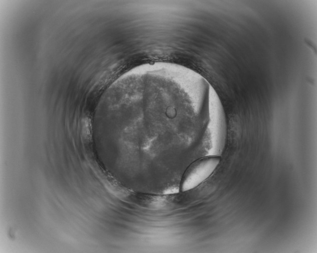 X0000101150130200807251056