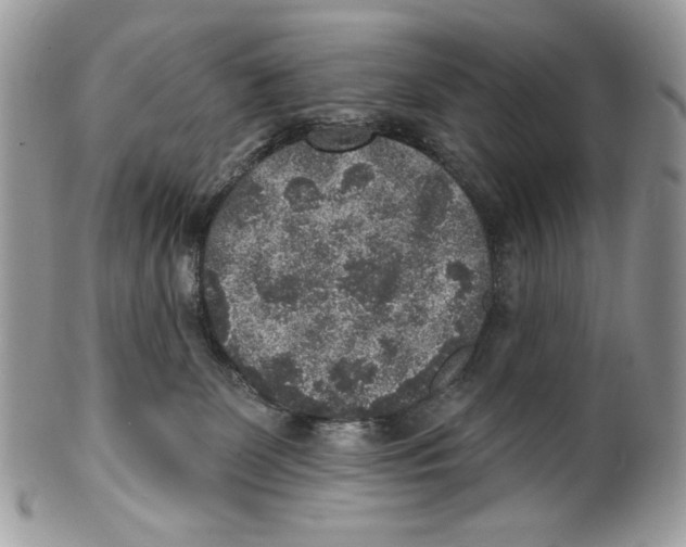 X0000101150131200807251056