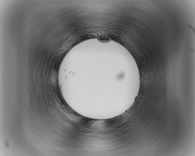 X0000101150132200807251056