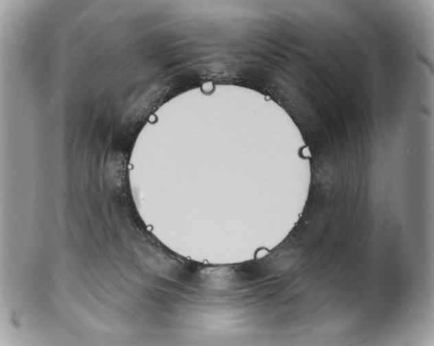 X0000101150133200807251056