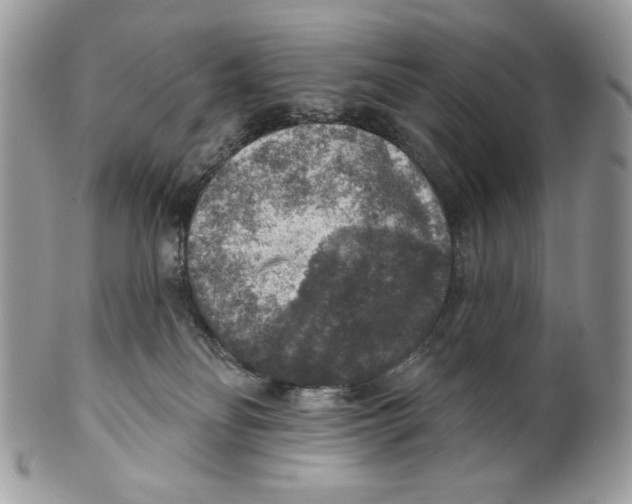 X0000101150134200807251056