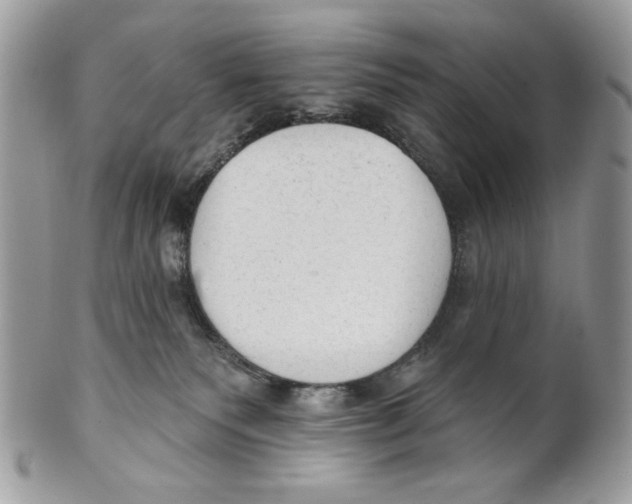 X0000101150135200807251056