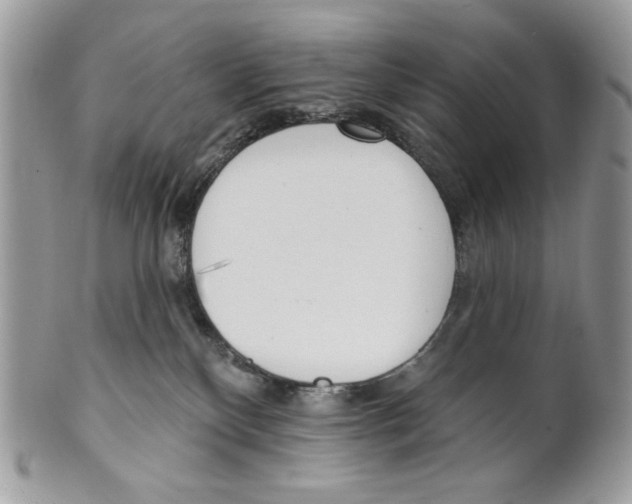 X0000101150136200807251056