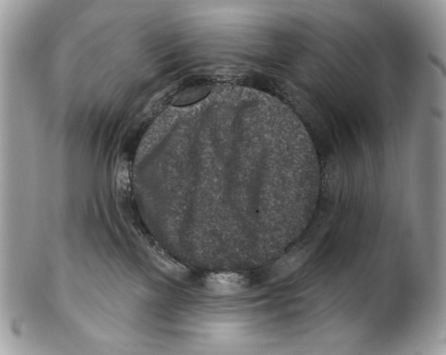 X0000101150137200807251056