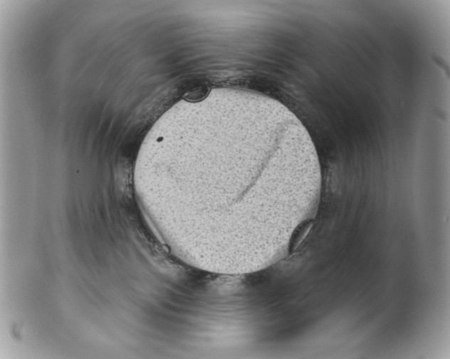 X0000101150138200807251056