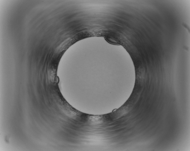 X0000101150139200807251056