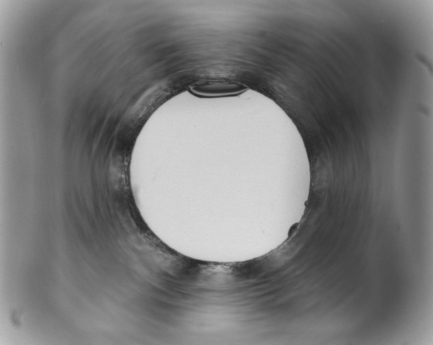 X0000101150140200807251056