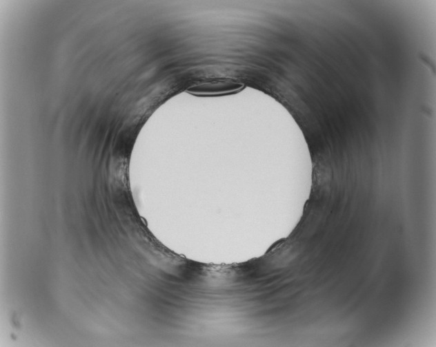 X0000101150141200807251056