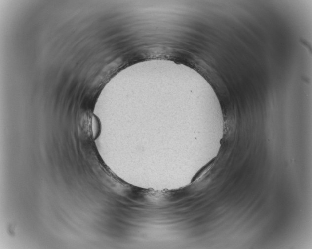 X0000101150142200807251056