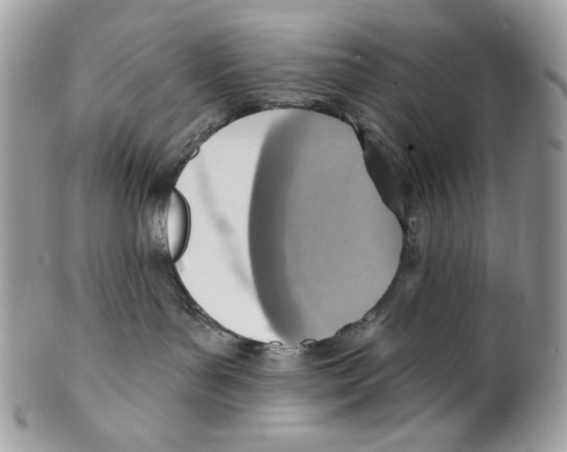 X0000101150143200807251056