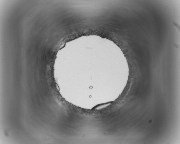 X0000101150144200807251056