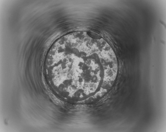 X0000101150145200807251056