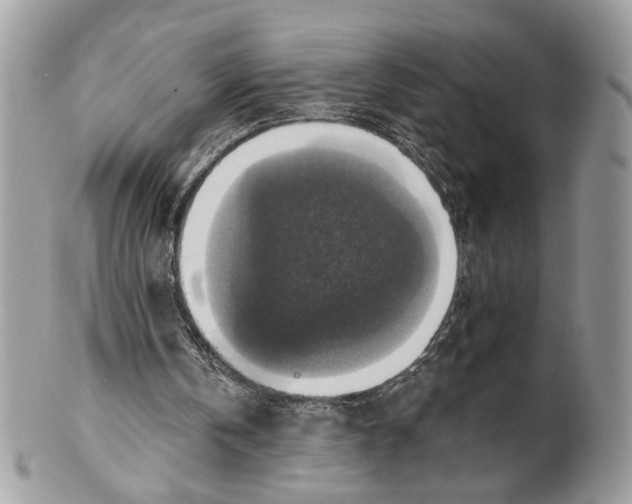 X0000101150146200807251056