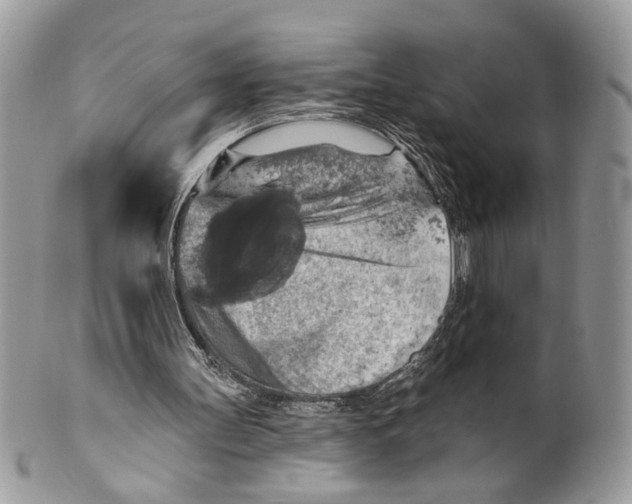 X0000101150147200807251056