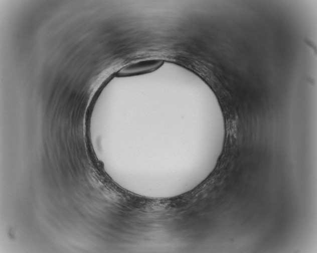 X0000101150148200807251056