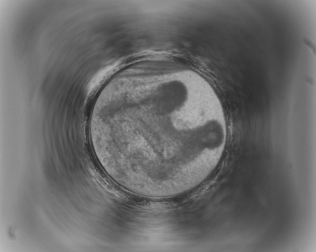 X0000101150149200807251056