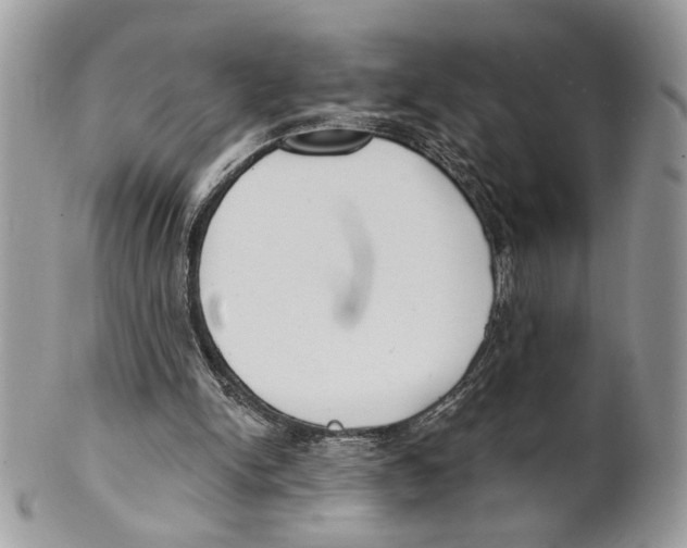 X0000101150150200807251056
