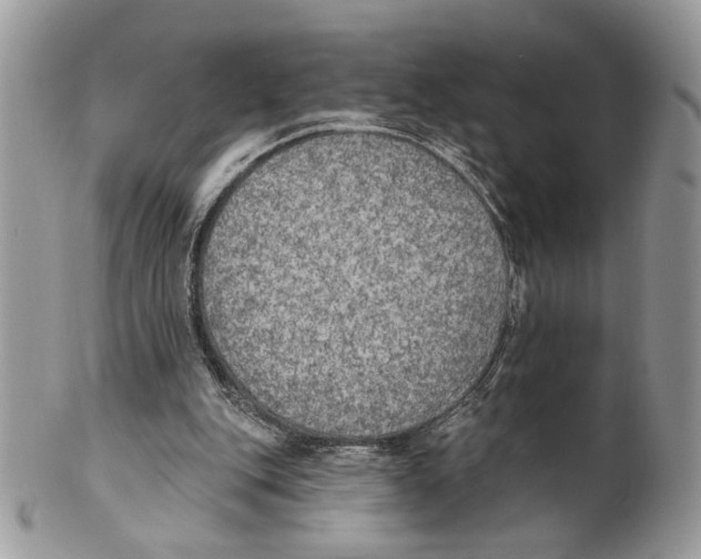X0000101150151200807251056