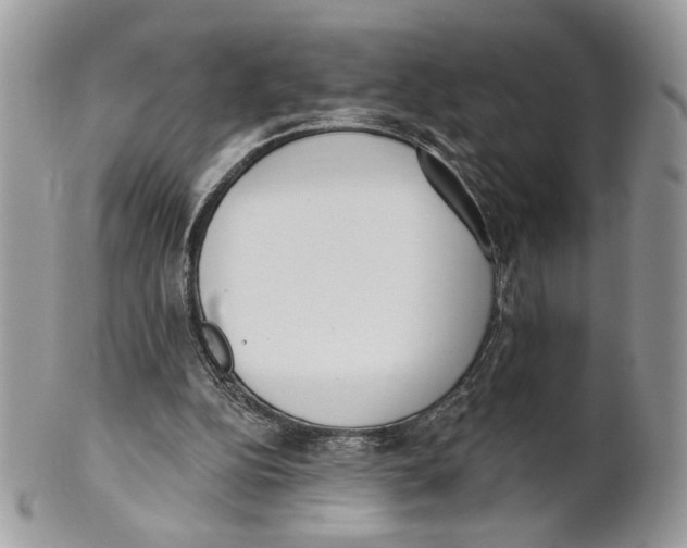 X0000101150152200807251056