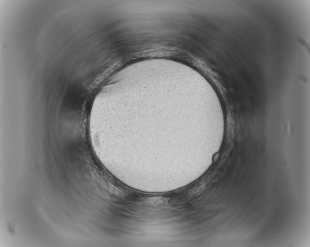 X0000101150153200807251056