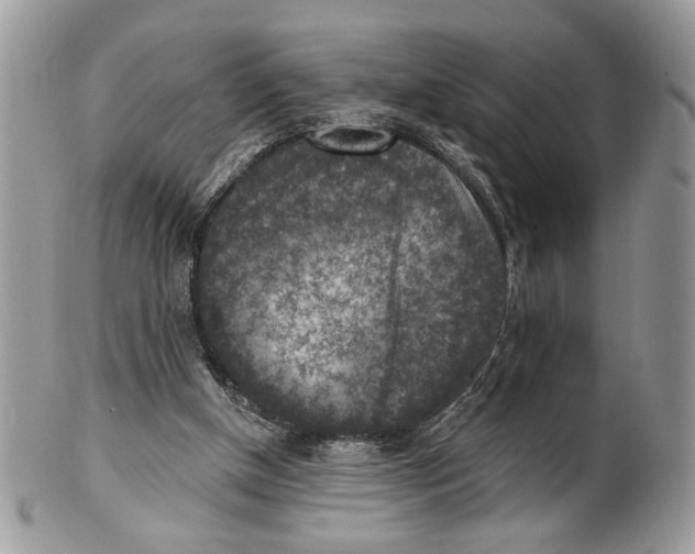 X0000101150154200807251056