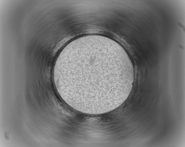 X0000101150155200807251056
