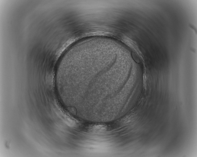 X0000101150156200807251056