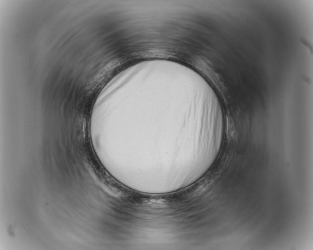 X0000101150157200807251056