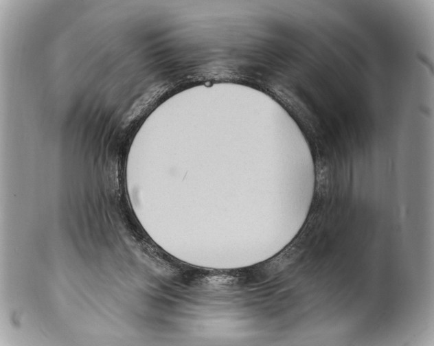 X0000101150158200807251056