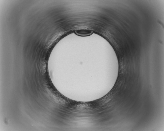 X0000101150160200807251056