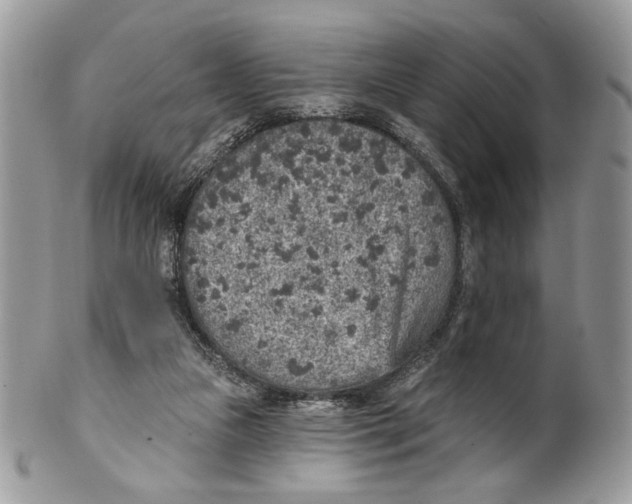 X0000101150161200807251056