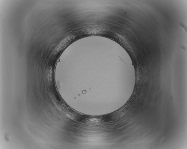 X0000101150163200807251056